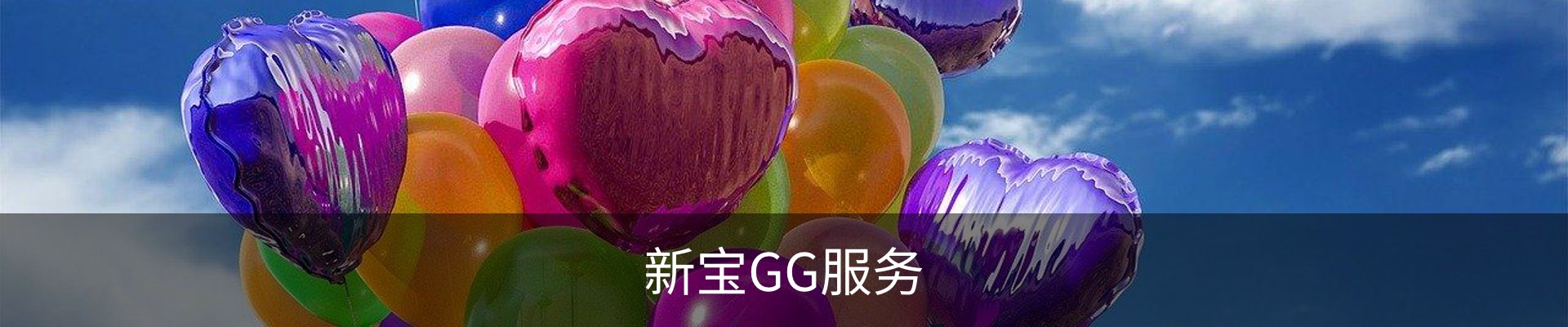 新宝GG服务